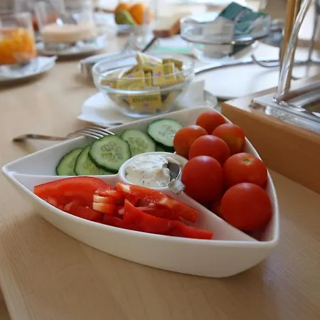 Hotel Wilder Mann Linz