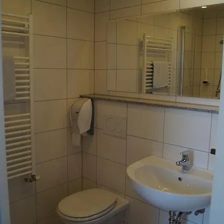 Hotel Wilder Mann 2*