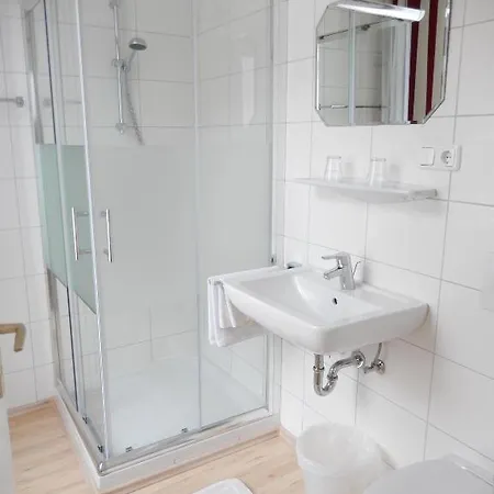 Wilder Mann Hotel 2*